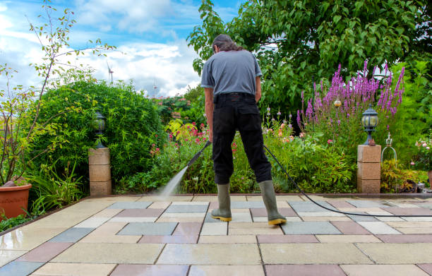 Best Animal Enclosure Cleaning  in Lorain, OH